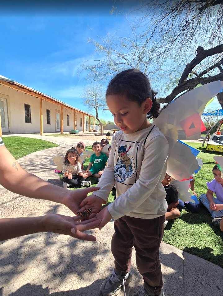 A child gently holding a butterfly during an outdoor science activity