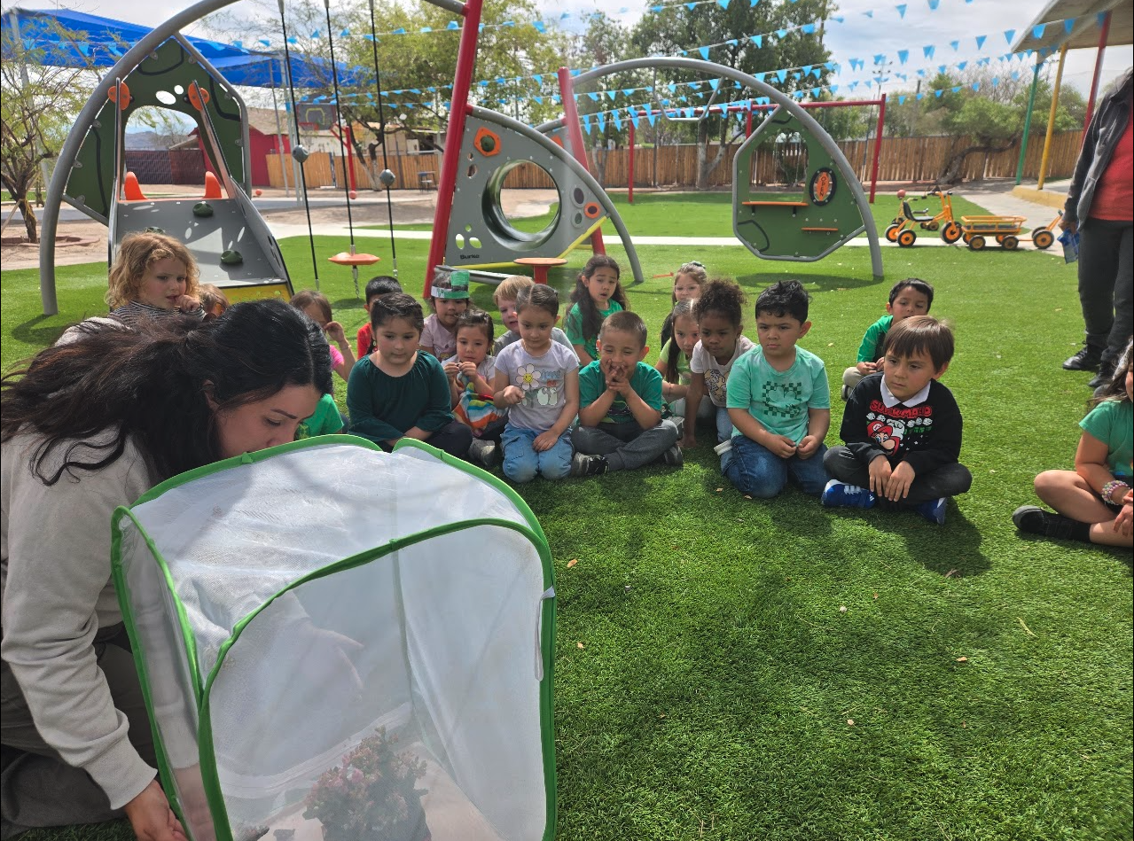 A teacher showing a butterfly habitat to children seated on the grass